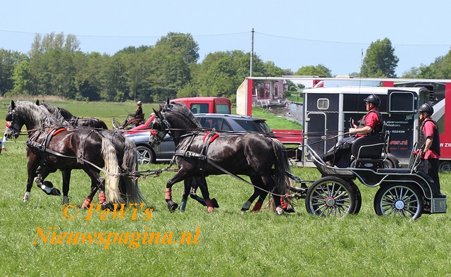 IMG 2144aa BorderMaker