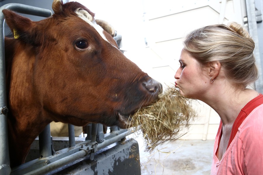 Hanneke de Boer PR 0199 BorderMaker