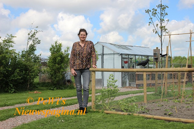 IMG 2068 BorderMaker