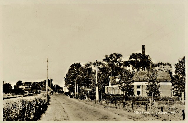 124 Mientweg. Woningen bij Zuivelfabriek. 1957 640x480