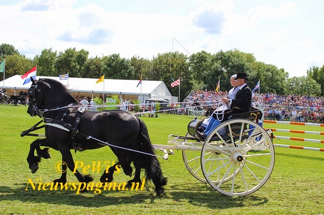 IMG 0185kk BorderMaker