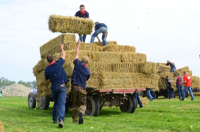 DSC 5095 BorderMaker