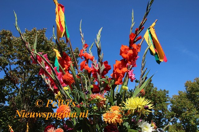 IMG 5912aa BorderMaker