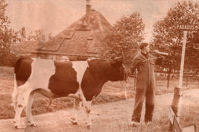 foto rundveemuseum BorderMaker