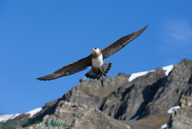 fotos Svalbard Kl. Jager 2 BorderMaker