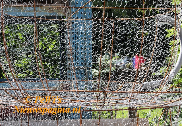 IMG 0143aa BorderMaker