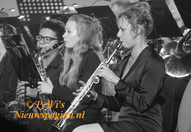 IMG 3217aa BorderMaker