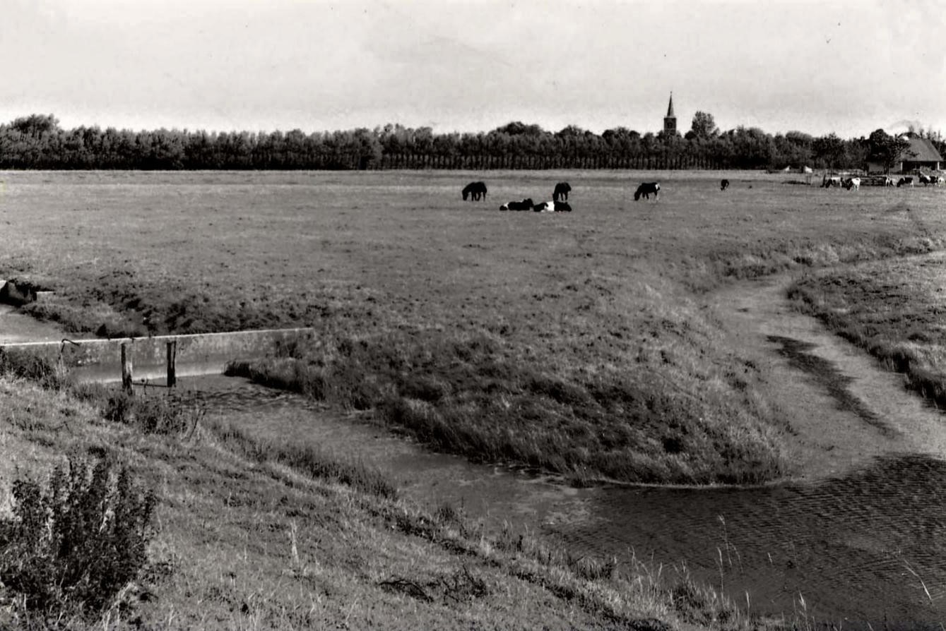 121 De Rijd. 1974 aaa