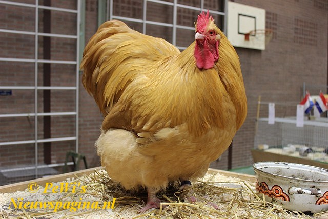 IMG 8144 640x480tekra278-BorderMaker