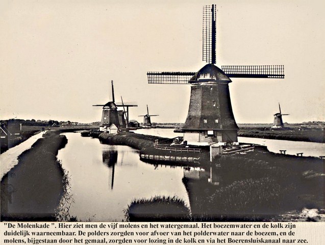 237 De 5 Strijkmolens vanaf de Westfriesedijk. 1905  640x480