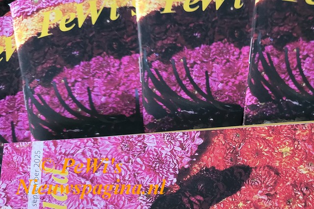 20200629 1308120 002aa BorderMaker