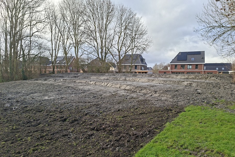 bb20260217 151332 BorderMaker